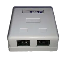 Розетка Lanmaster (TWT-SM2-4545-WH)RJ45 2 кат.5E  в Энгельсе