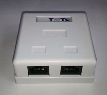 Розетка Lanmaster (TWT-SM2-4545-WH)RJ45 2 кат.5E  в Энгельсе